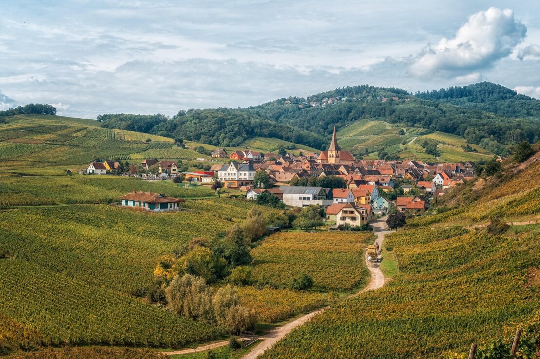 Landschaft